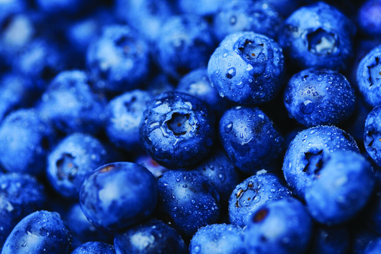 This flaky dessert is all about the blueberries